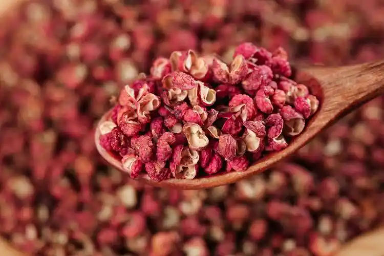 The Strange Tingling Spice That Numbs Your Mouth: The Secret of Sichuan Peppercorn